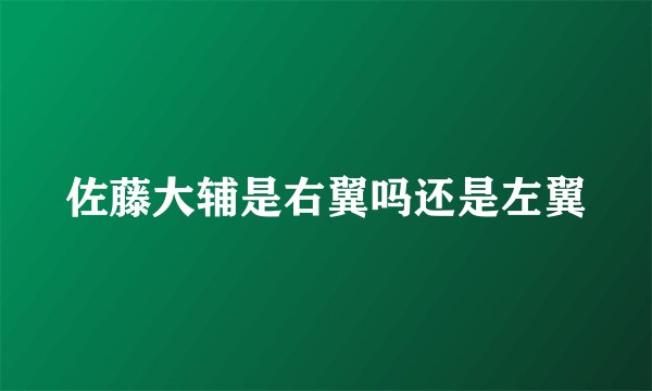 佐藤大辅是右翼吗还是左翼