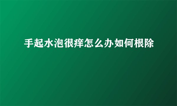 手起水泡很痒怎么办如何根除