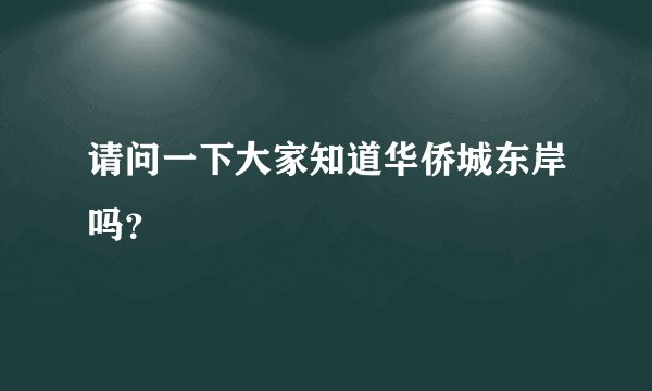 请问一下大家知道华侨城东岸吗？