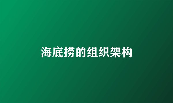 海底捞的组织架构