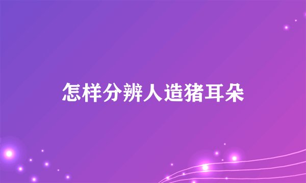 怎样分辨人造猪耳朵