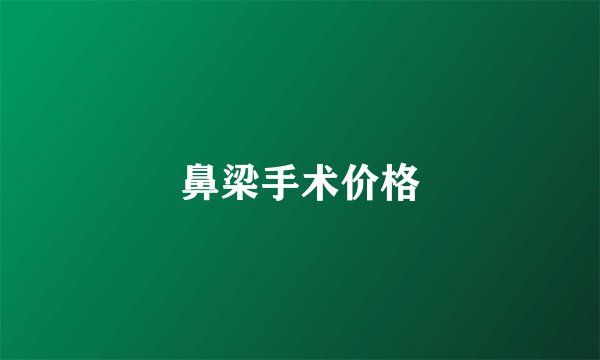 鼻梁手术价格