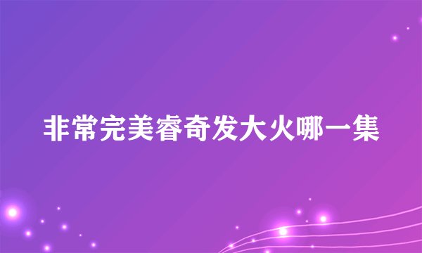 非常完美睿奇发大火哪一集