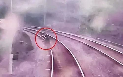 小孩为拍短视频逼停动车30分钟,给列车造成了什么影响?
