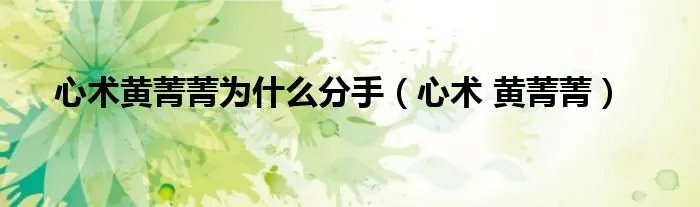 心术黄菁菁为什么分手（心术 黄菁菁）