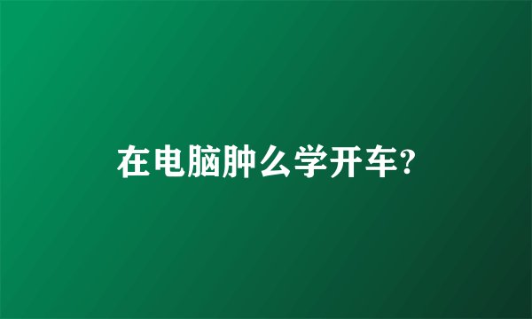 在电脑肿么学开车?