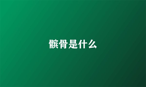 髌骨是什么