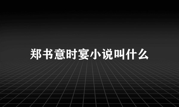 郑书意时宴小说叫什么