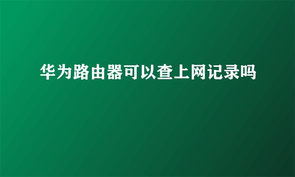 华为路由器可以查上网记录吗