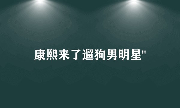 康熙来了遛狗男明星