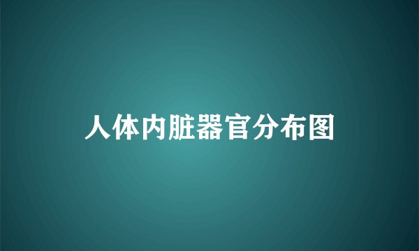 人体内脏器官分布图