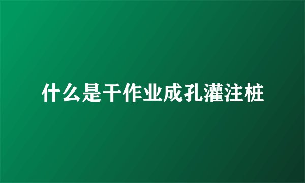 什么是干作业成孔灌注桩