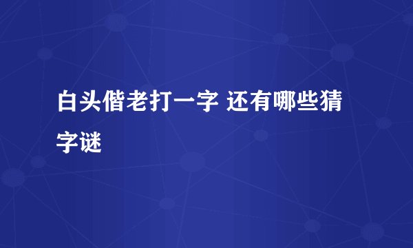 白头偕老打一字 还有哪些猜字谜