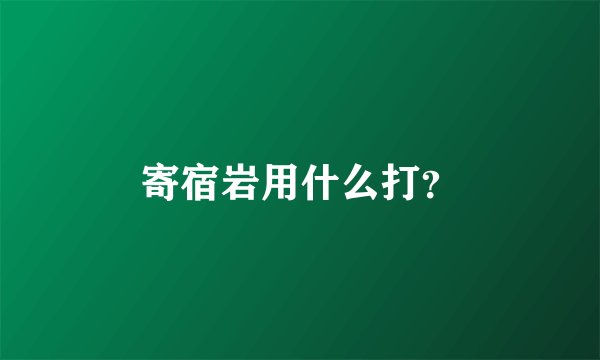 寄宿岩用什么打？