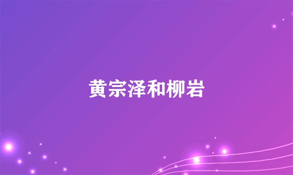 黄宗泽和柳岩