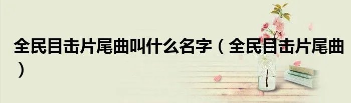 全民目击片尾曲叫什么名字（全民目击片尾曲）