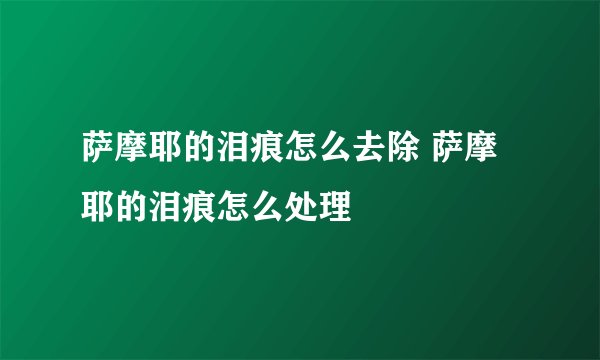 萨摩耶的泪痕怎么去除 萨摩耶的泪痕怎么处理