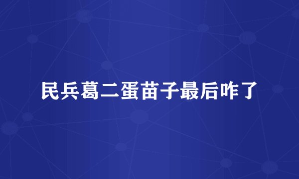 民兵葛二蛋苗子最后咋了