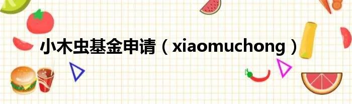 小木虫基金申请(xiaomuchong)