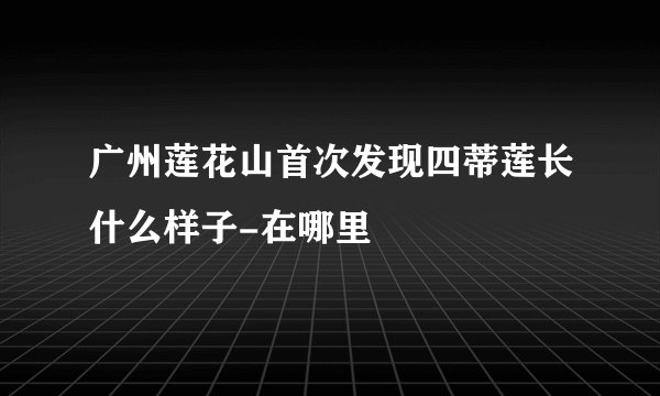 广州莲花山首次发现四蒂莲长什么样子-在哪里