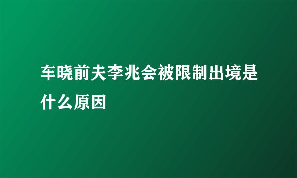 车晓前夫李兆会被限制出境是什么原因
