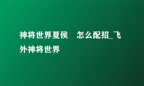 神将世界夏侯惇怎么配招_飞外神将世界