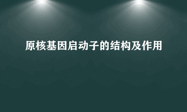 原核基因启动子的结构及作用