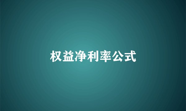 权益净利率公式