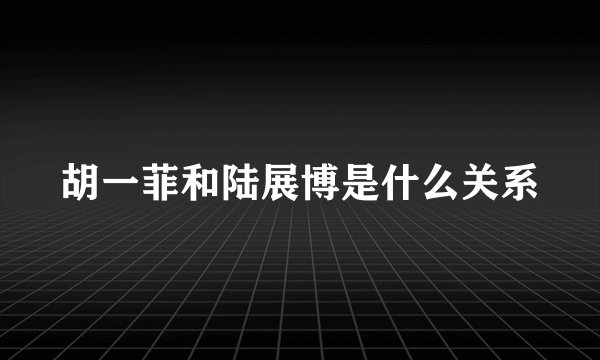 胡一菲和陆展博是什么关系