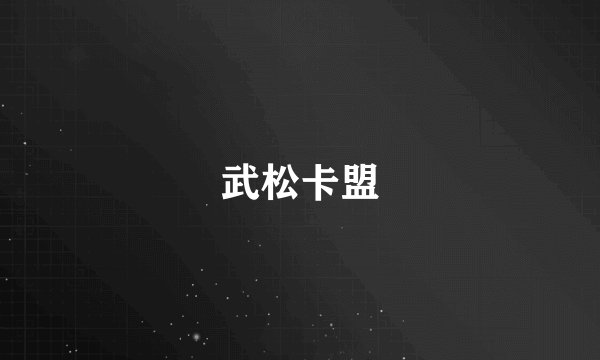 武松卡盟