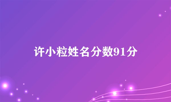 许小粒姓名分数91分