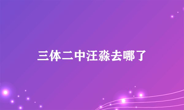 三体二中汪淼去哪了