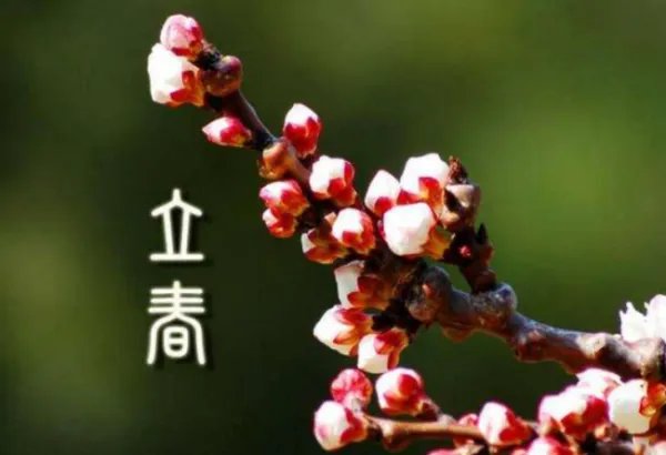 .今年立春时间