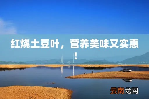 红烧土豆叶，营养美味又实惠！