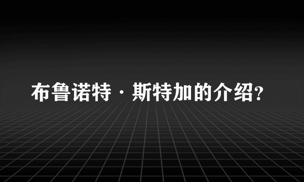 布鲁诺特·斯特加的介绍？