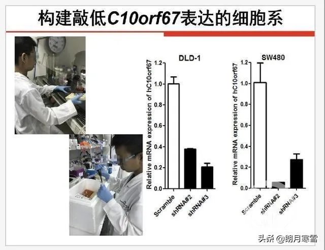 小学生研究癌症获奖遭质疑,一等奖撤销。青少年该不该搞科研?