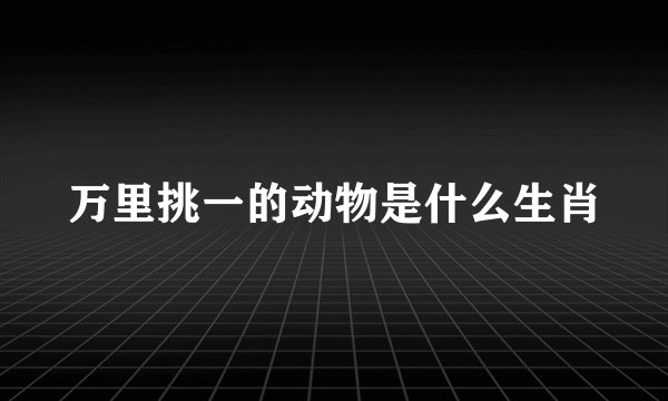 万里挑一的动物是什么生肖