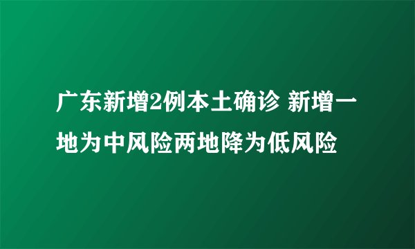 广东新增2例本土确诊 新增一地为中风险两地降为低风险