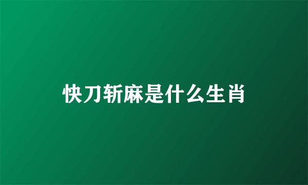 快刀斩麻是什么生肖
