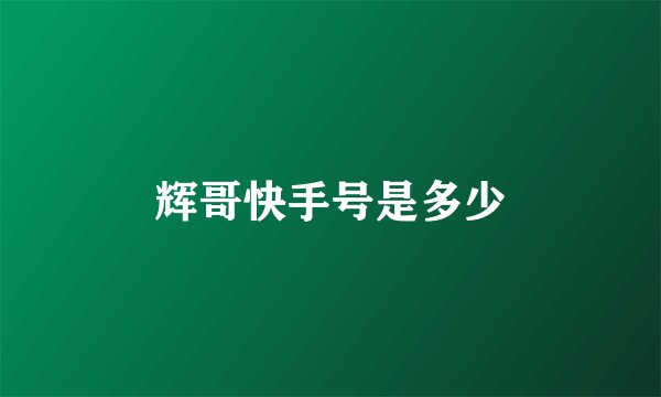 辉哥快手号是多少