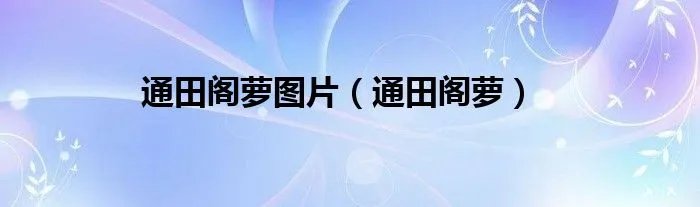 通田阁萝图片（通田阁萝）