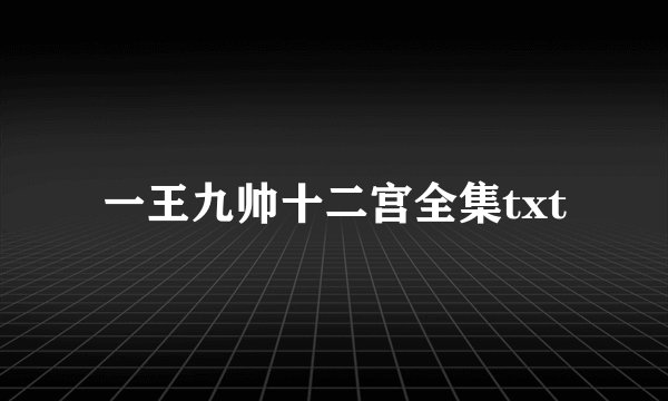 一王九帅十二宫全集txt