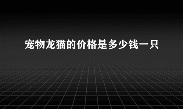 宠物龙猫的价格是多少钱一只