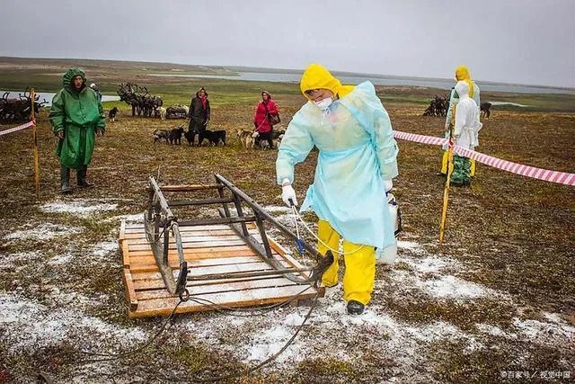 山东出现炭疽死亡病例!至少三地有人确诊,它是如何进行传播的?