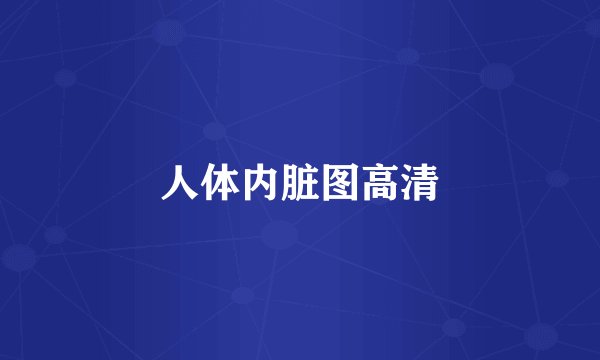 人体内脏图高清