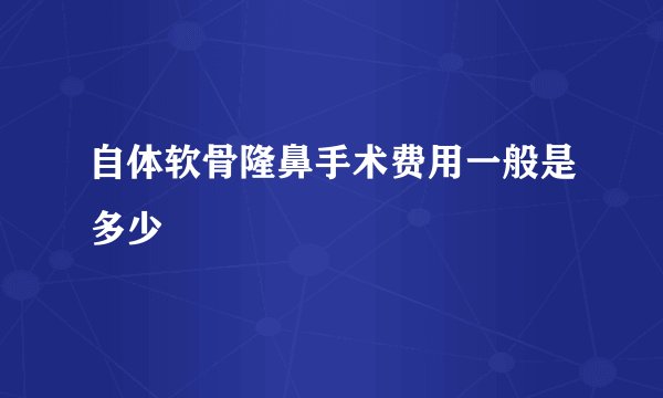 自体软骨隆鼻手术费用一般是多少