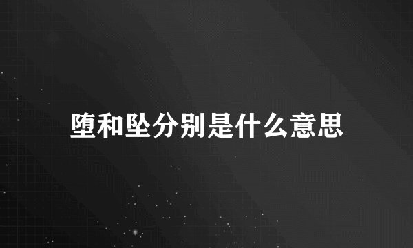 堕和坠分别是什么意思