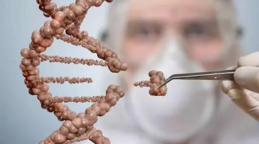 成功复活死亡猪脑是真的吗:怎么复活的始末详情