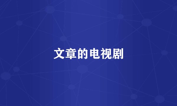 文章的电视剧