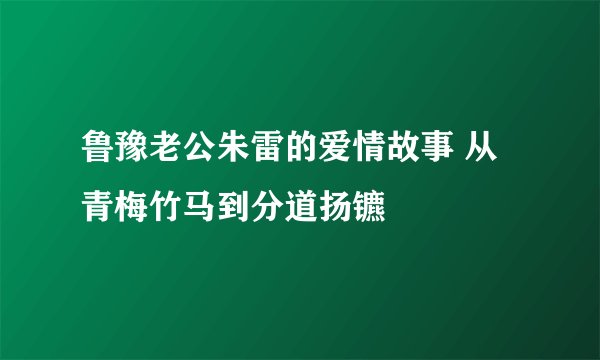 鲁豫老公朱雷的爱情故事 从青梅竹马到分道扬镳
